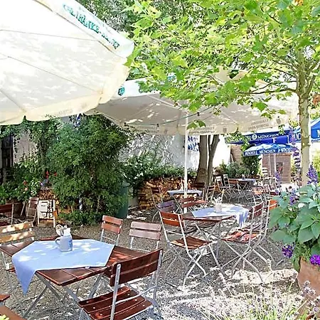 Traubenbraeu 3*