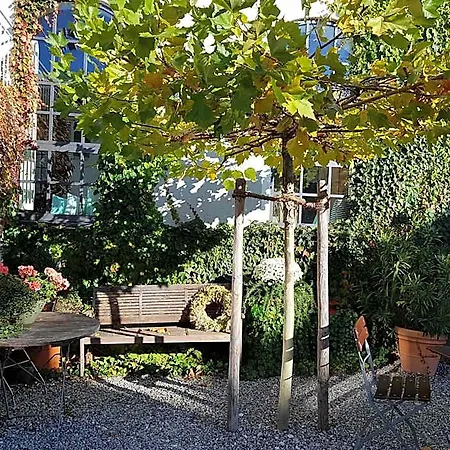 Otel Traubenbraeu