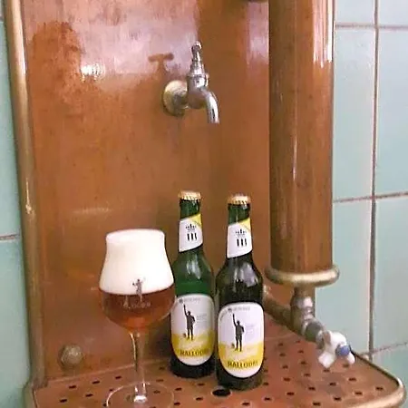 Hotel Traubenbraeu Krumbach (Gunzburg)