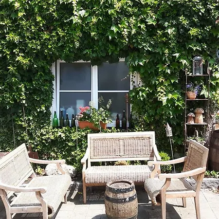 酒店 加斯托夫特劳本布劳酒店 3*