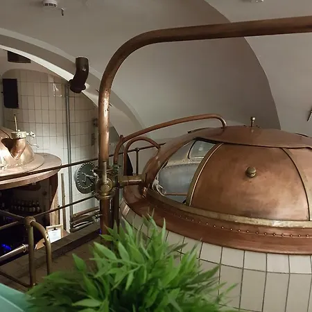 Otel Traubenbraeu