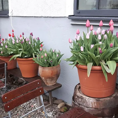 酒店 加斯托夫特劳本布劳酒店