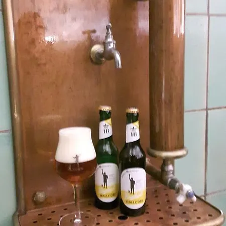 加斯托夫特劳本布劳酒店 3*