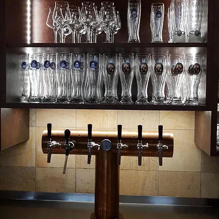 酒店 加斯托夫特劳本布劳酒店