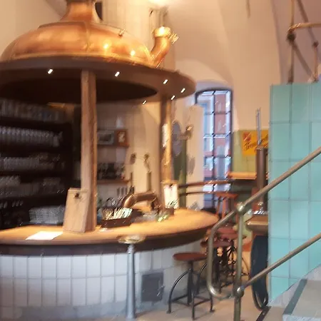 酒店 加斯托夫特劳本布劳酒店 3*