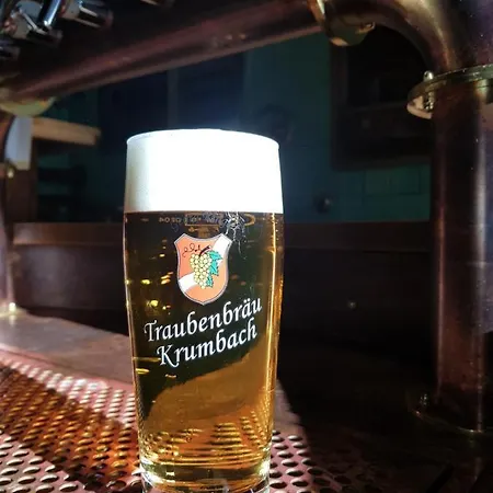 Traubenbraeu Otel 3*